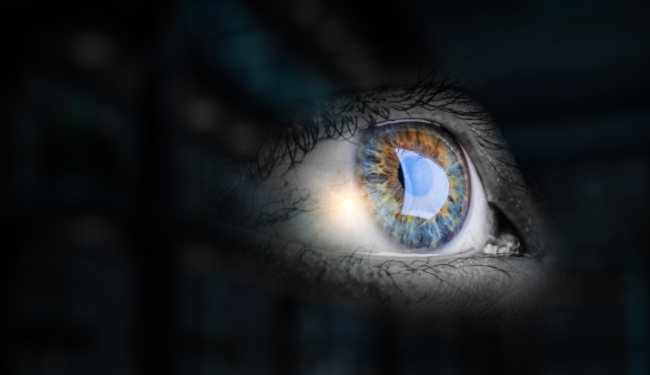 Our Vision